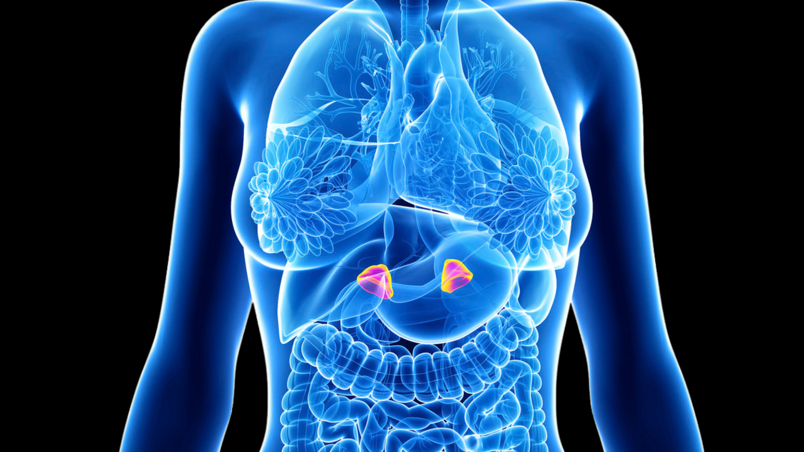 Cortisol: Should You Be Worried About This 'Stress Hormone'?