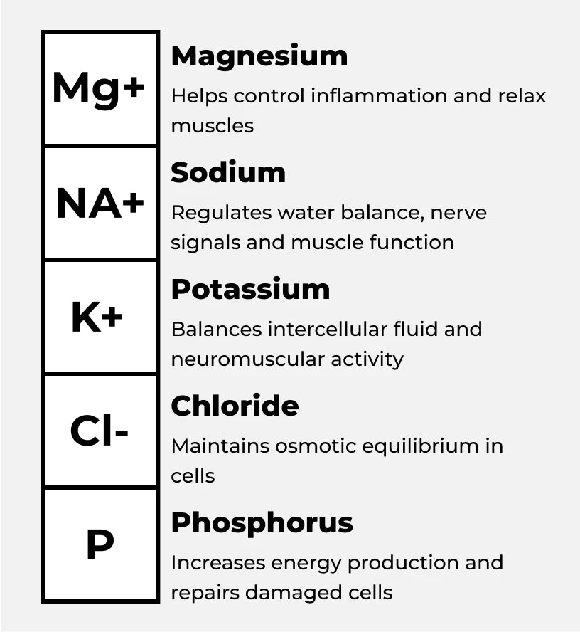 SPARTAN HYDRATION TABLETS - 90-SERVING POUCH