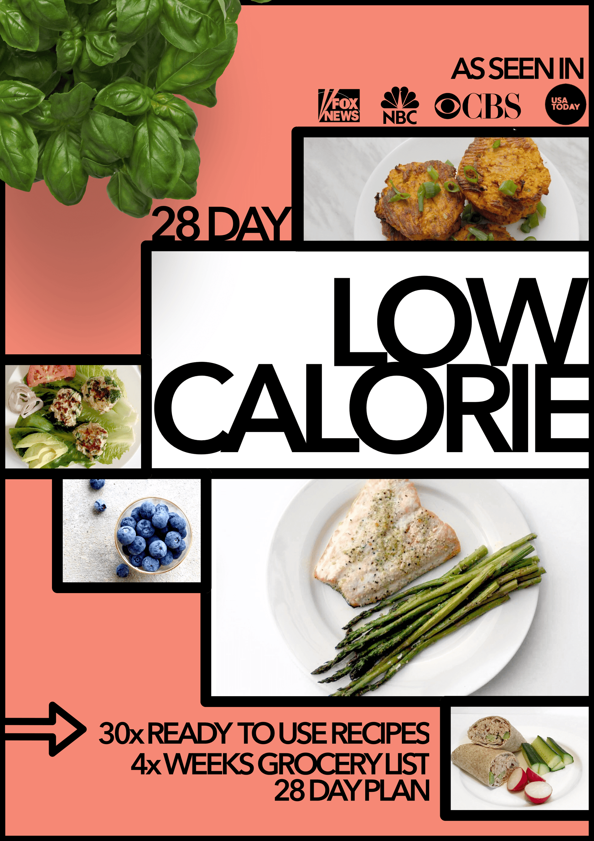 Spartan Fit Nutrition 28 Day 1500 Low Calorie Diet Guide for movement muscle mood and motivation