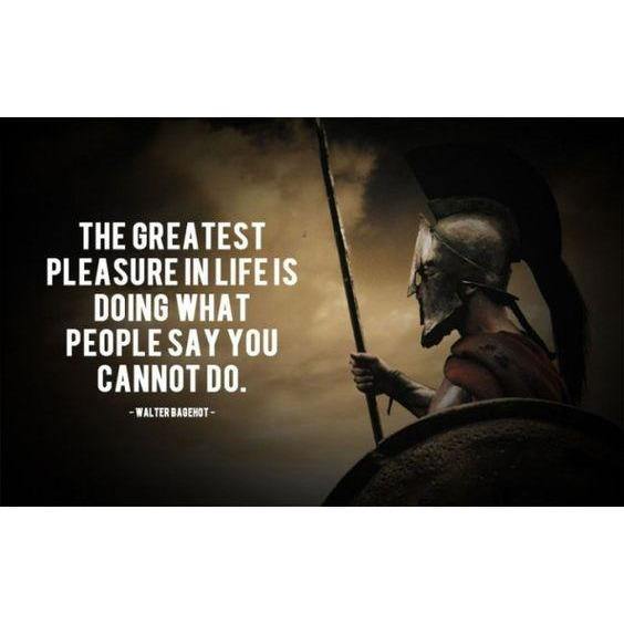 Spartan Fit Nutrition Train Coach Cesar / Spartan Fit Elite / Ready to step up to the next level?  Click here to sign up to become one of the SFN elite! Online Fitness and Health Coach for movement muscle mood and motivation